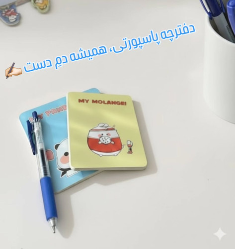 دفترچه پاسپورتی سویل