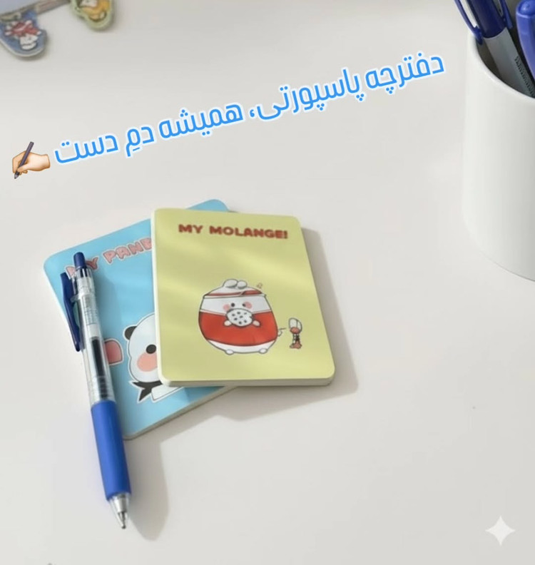دفترچه پاسپورتی سویل